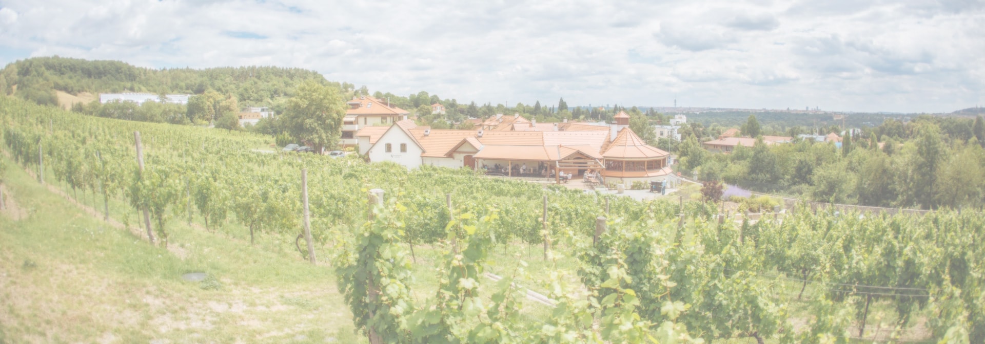 VILLA SALABKA